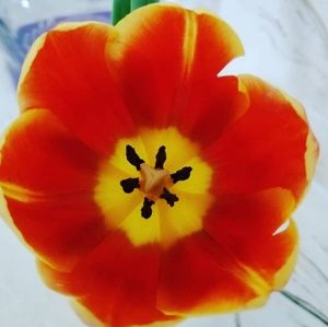 Meet your Posher, Olga